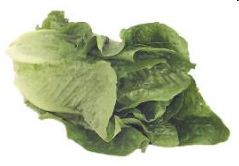 romaine vs iceberg lettuce taste